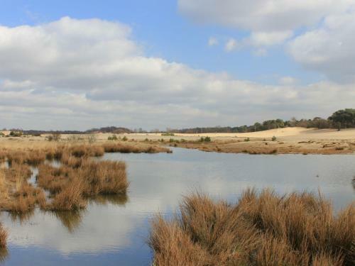 Holiday Home Duinhoeve.2