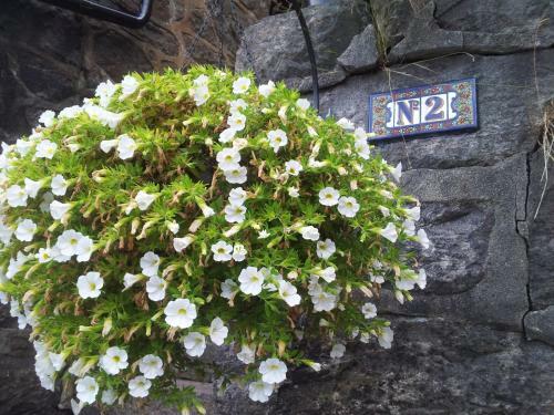 Apartamento Charm Inn Arendal