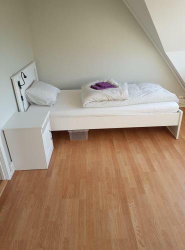 O Brian Hostel