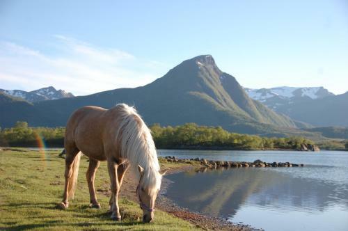 Apartamento Livland Lofoten