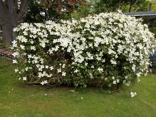 The Argoed Bed & Breakfast