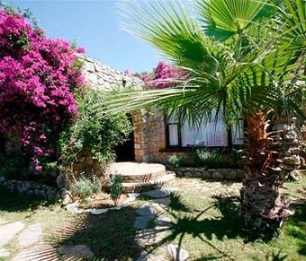 Hostal Antik Zeytin Hotel & Art