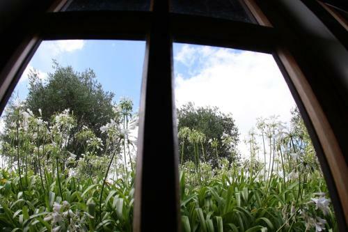 Hotel Vineyard Cottages - Kumeu
