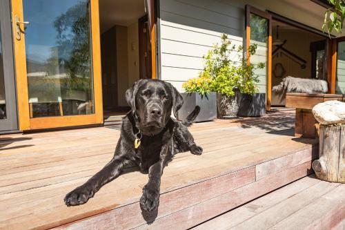Bearsden Bed & Breakfast Queenstown
