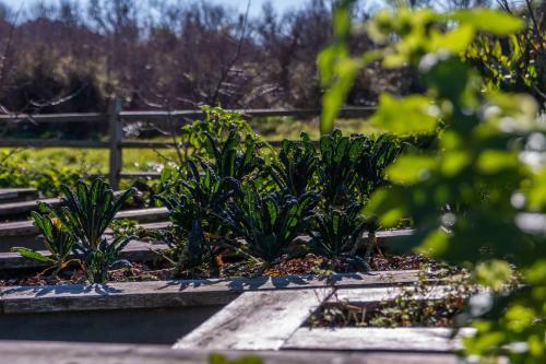 Waihi Beach Hotel