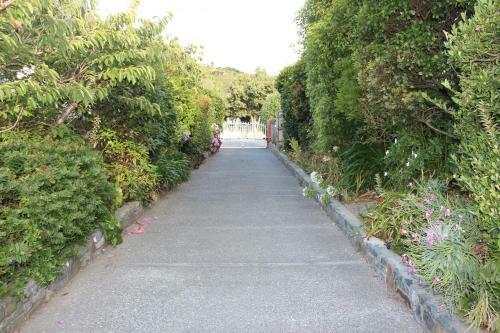 Hostal Casa Felina Apartment