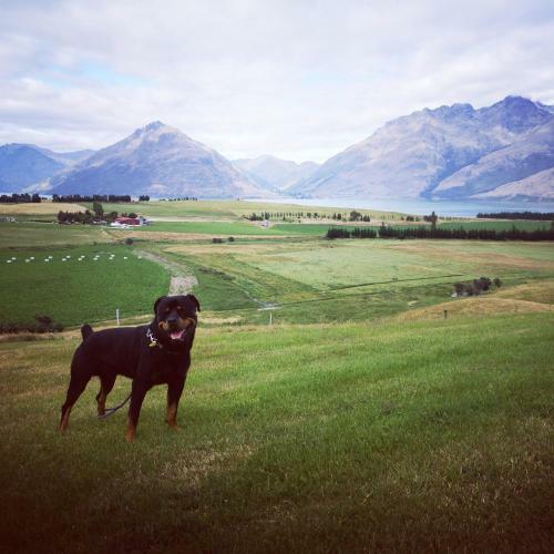 Jacks Point Family Homestay