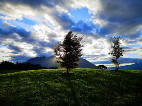 Jacks Point Family Homestay
