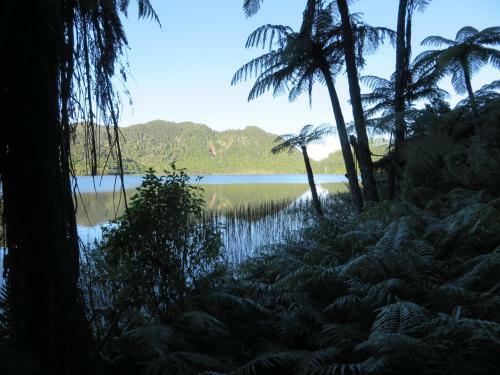 Bed & Breakfast Silvereye Retreat