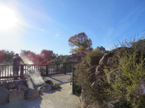 Bed & Breakfast Silvereye Retreat