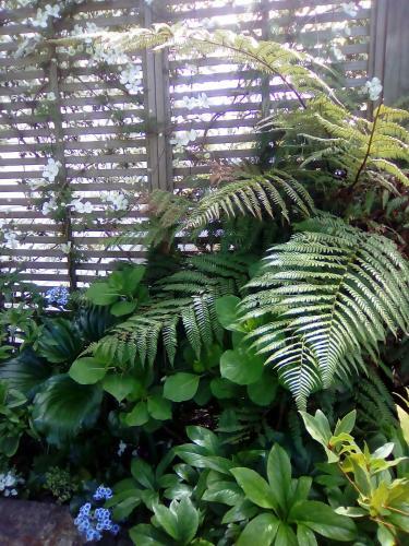 Bed & Breakfast Silvereye Retreat