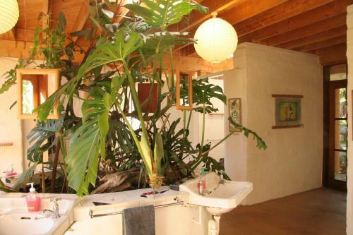 Posada Sans Souci Inn