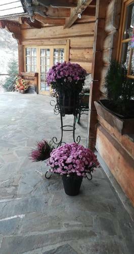 Bed & Breakfast Gliczarowski U Zb�ja