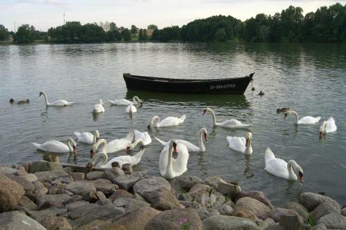 Hostal Dom Wczasowy Mariza