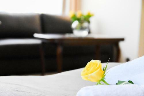 Hotel Willa Home