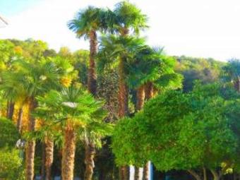 Hotel Albergo Gardenia