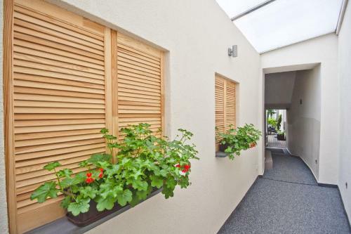Apartamenty Leszno