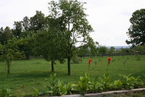 Agroturismo Aronia Park