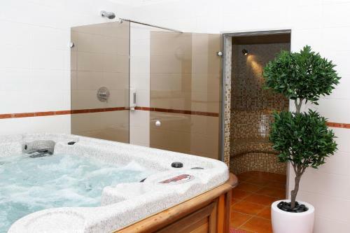 Hostal Guesthouse Sinchronas