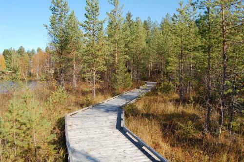 Ristij�rven Pirtti Camping