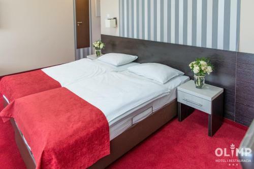 Hotel Olimp