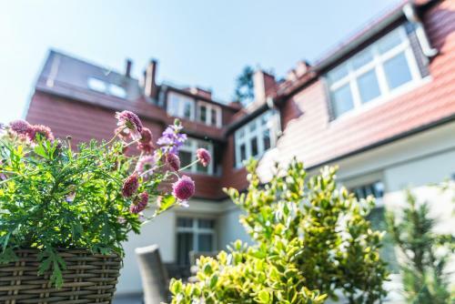Hostal Villa Alina Medical Spa