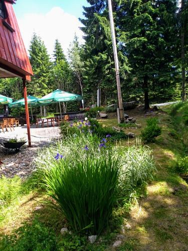Hostal Gospoda Graniczna Bombaj