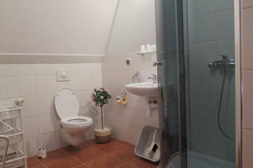 Bed & Breakfast Trymas Wczasy