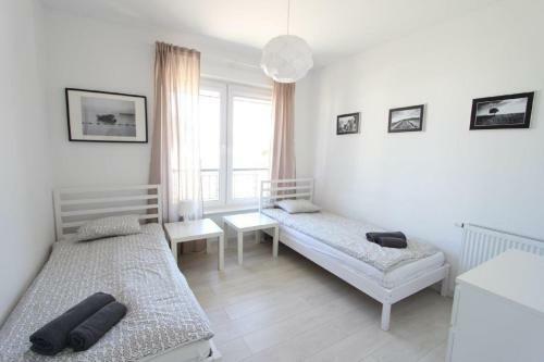 Equilibrium Apartments
