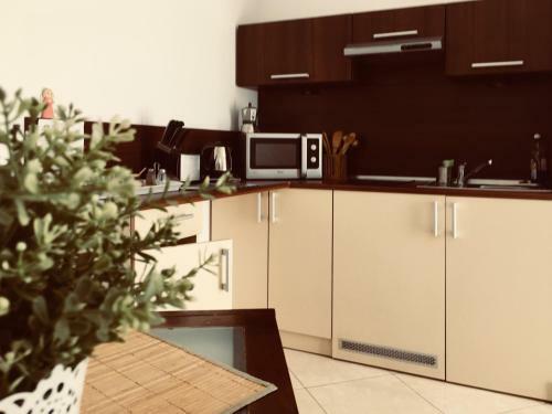 Apartamenty Willa Alicja