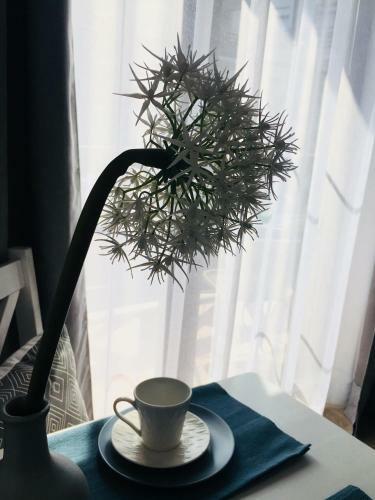 Apartamenty Willa Alicja