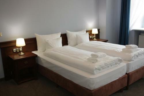 Hotel Pa?ac ?ag�w