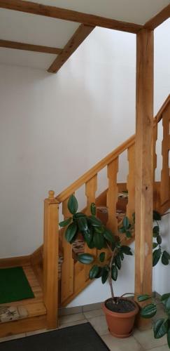 Lodge Apartamenty Drewniany Dom
