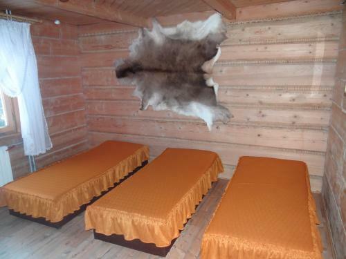 Agroturystyka Pod Lasem