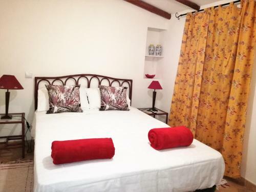 Bed & Breakfast Aloendro Blue Residence