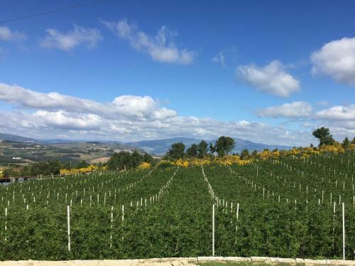 Quinta Bemboa Turismo Espa�o Rural