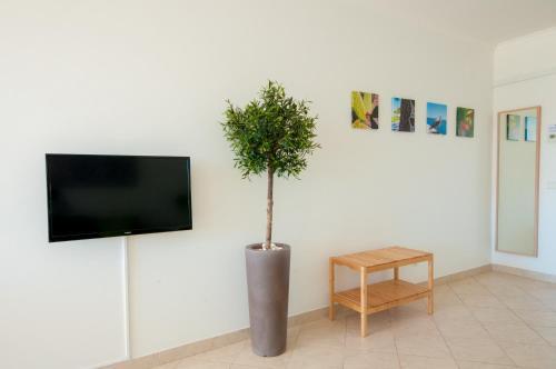 Hostal Estudios Salinas - Fuseta