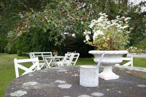 Hostal Tingsholm Guest House