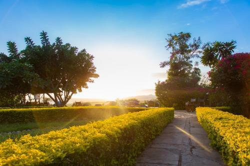 Lodge Manyara Wildlife Safari Camp