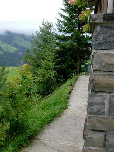 Apartamentos Chalet Weidli