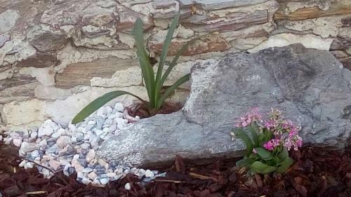 Bed & Breakfast Casa Esqu�vel
