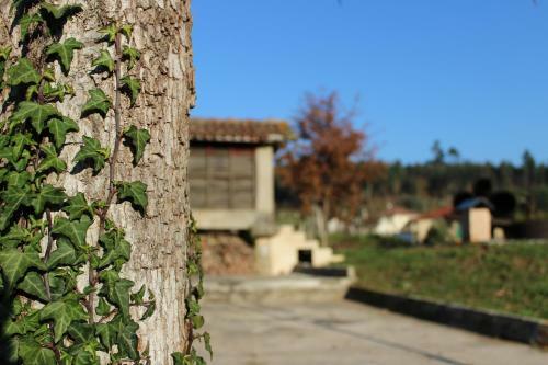 Agroturismo Quinta Do Caminho, Al