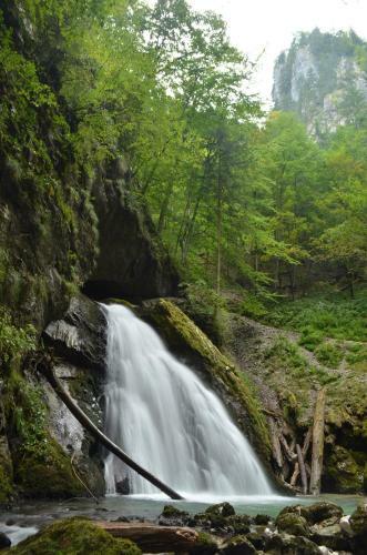 Hostal Pensiunea Viorica