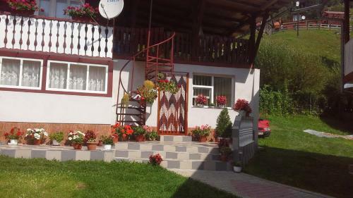 Hostal Pensiunea Daiana
