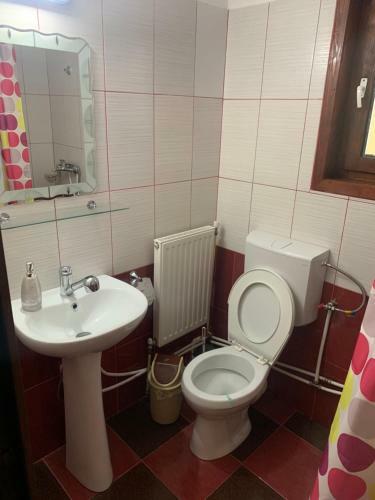 Hostal Pensiunea Gaiu
