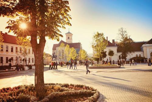Apartamento Cosy, Comfortable And Charming Studio In Alba Iulia