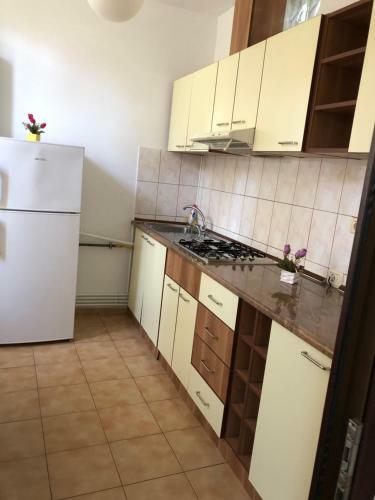 Apartamento Garsoniera Alexandra