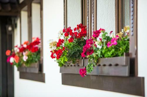 Hostal Bran Monte Crai Chalet