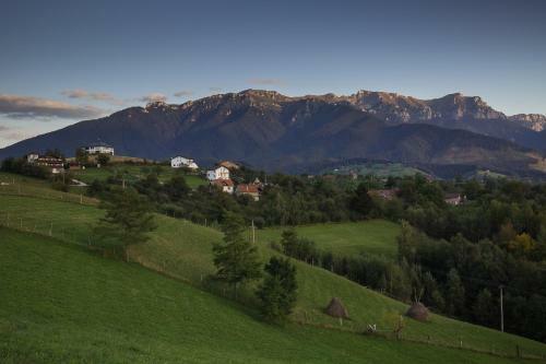 Hostal Bran Monte Crai Chalet