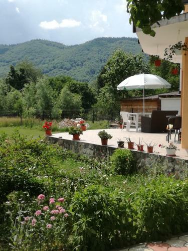 Hostal Villa Tamara